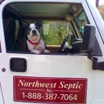 Porschia, a Northwest Septic Team Member